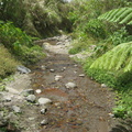 creek trail mount pinatubo 2327 13apr10