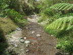 creek trail mount pinatubo 2327 13apr10