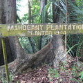 sign_mahogany_plantation_mount_makiling_1207_1apr10.jpg