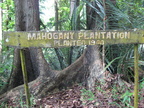 sign mahogany plantation mount makiling 1207 1apr10