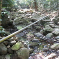 water pipe mount makiling 1215 1apr10