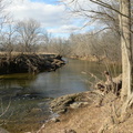 goose creek banshee reeks nature preserve 2594 27jan21