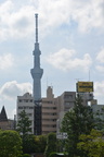 tokyo tower 10jun16c