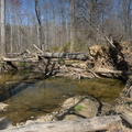 accotink creek 3388 21mar21