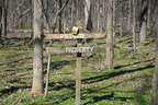 sign ormsby park trail 3431 21mar21