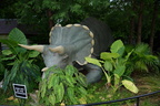 triceratops national zoo 6789 14jul21
