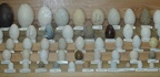 eggs sylvan heights 9021 21aug21