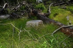front forty farm 6484 9jul21