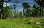 front forty farm 6477 9jul21