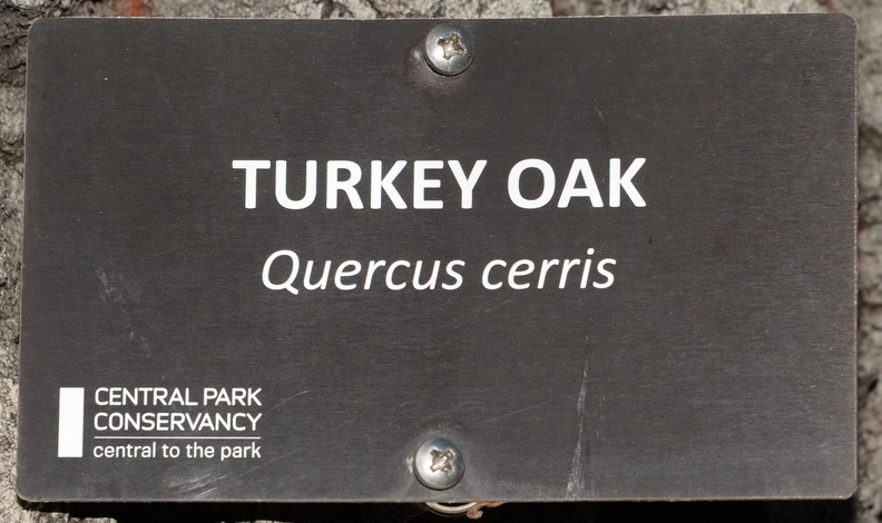 sign_turkey_oak_central_park_new_york_1530_11mar22.jpg