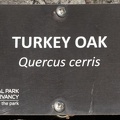 sign_turkey_oak_central_park_new_york_1530_11mar22.jpg