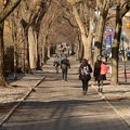 central_park_northward_97th_and_5th_ave_new_york_1391_11mar22.jpg
