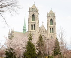 cathedral basilica of the sacred heart newark new jersey 3491 4apr22