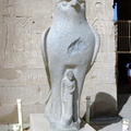 statue of horus temple of edfu 8398 7nov23zac