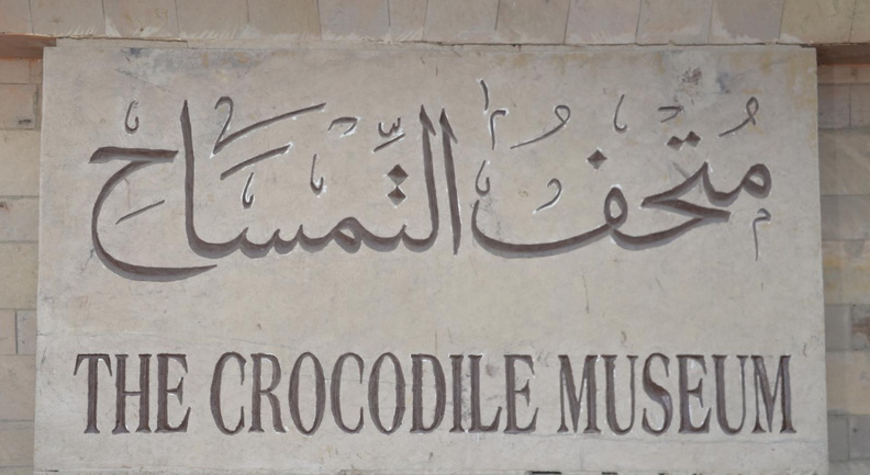 crocodile_museum_markaz_deraw_aswan_8263_7nov23.jpg