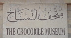 crocodile museum markaz deraw aswan 8263 7nov23