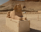 sphinx mortuary temple of hatshepsut 8596 8nov23