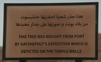 sign mortuary temple of hatshepsut 8652 8nov23