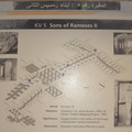 sign dv5 sons of rameses ii valley of the kings 8735 9nov23