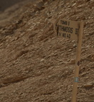 sign valley of the kings 8700 9nov23