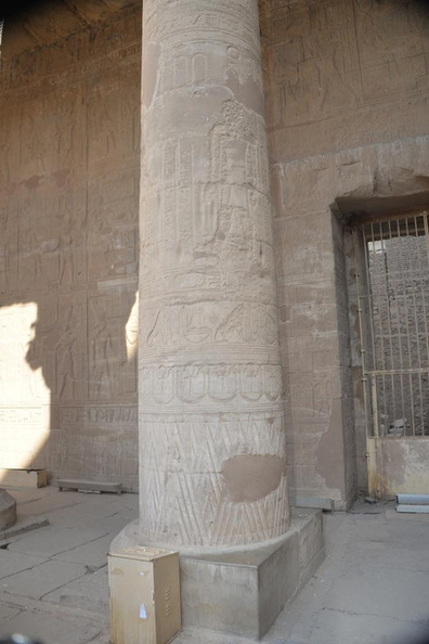 hieroglyphs_on_column_temple_of_edfu_8405_7nov23.jpg