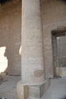 hieroglyphs on column temple of edfu 8405 7nov23