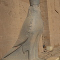 statue of horus temple of edfu 8399 7nov23za