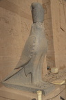 statue of horus temple of edfu 8399 7nov23za
