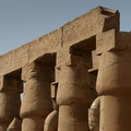 hieroglyphs_on_capitals_luxor_temple_8952_10nov23.jpg