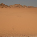 desert wadi el sebou 8048 5nov23
