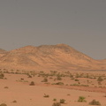 desert wadi el sebou 8049 5nov23