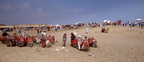 camel vendors at giza 7405 31oct23zac