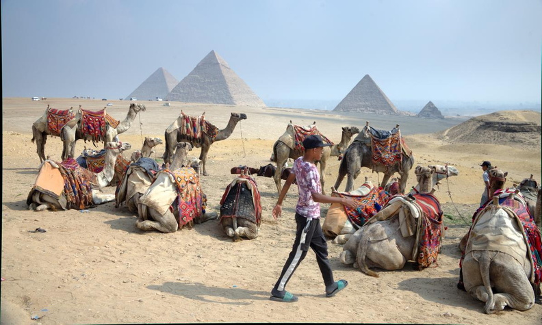 camels at giza 7390 31oct23zac