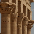 11 column capitals hypaethral temple of philae 8128 6nov23