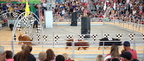 pig races wisconsin state fair 6536 12aug23zac