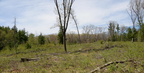 front forty east to west farm 2115 1may24