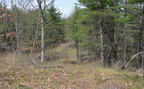 middle forty farm 2105 22apr24