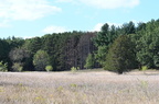 front field farm 2440 30sep24