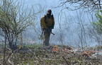 worker tall grass restoration wehr whitnall park 5002 22apr26