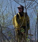 worker tall grass restoration wehr whitnall park 5006 22apr26