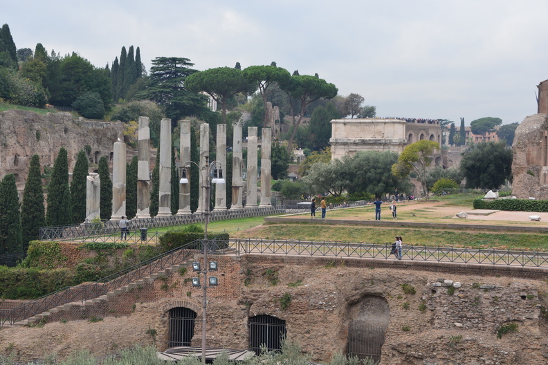 forum_from_colosseum_27oct17b.jpg