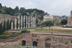 forum from colosseum 27oct17b
