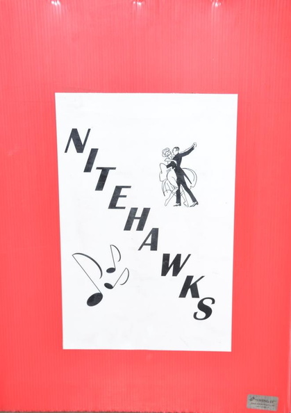 nitehawks_25jun17c.jpg