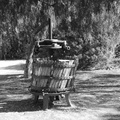 grape press motya 11oct17a