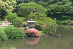 shinjuku park 8jun16a