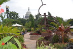 us botanical garden washington 31jul16