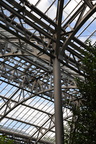 longwood gardens 3sep16p