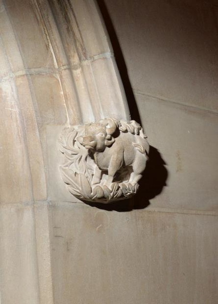 national_cathedral_bull_27may18.jpg