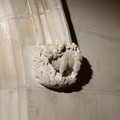 national cathedral bull 27may18
