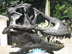 zoo 6jun12a